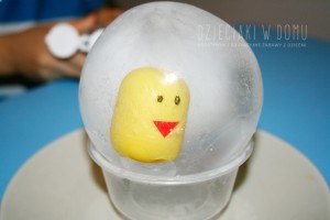 kurczak w lodowym jajku