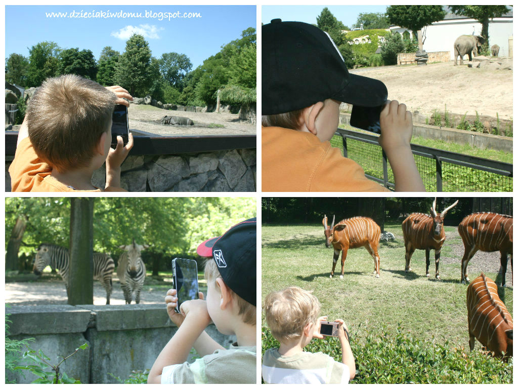 wycieczka z dziećmi do Zoo, rozwijanie pasji i zainteresowań u dzieci