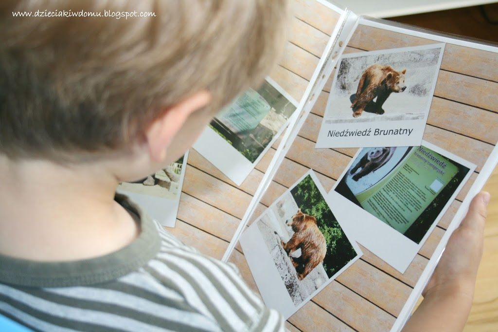 album ze zwierzętami dla dzieci, drukowanie zdjęć, Canon Pixma