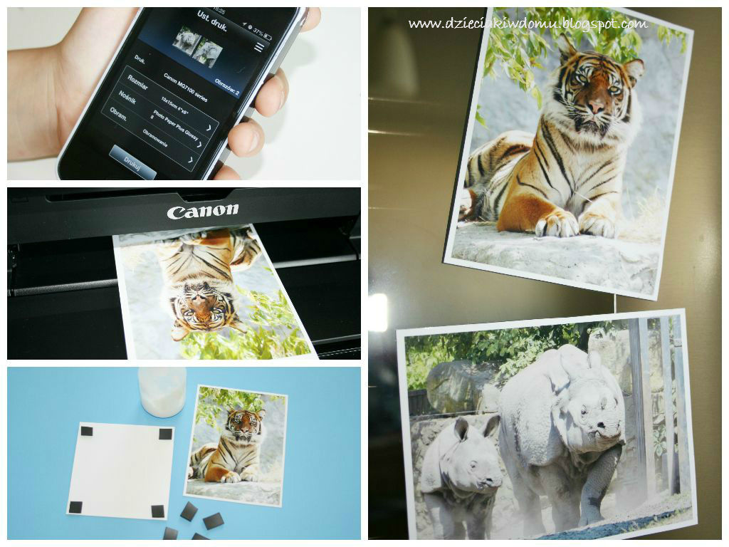 zdjęcia - magnesy na lodówkę, drukowanie zdjęć z dziećmi, wspomnienia z wakacji, Canon Pixma