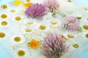 lodowe obrazy z polnych kwiatów - zabawa dla dzieci