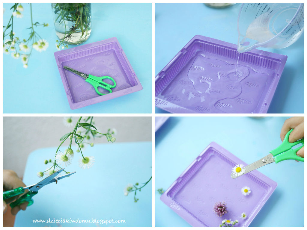 Wodne kompozycje i lodowe obrazy z polnych kwiatów - kreatywna zabawa dla dzieci 