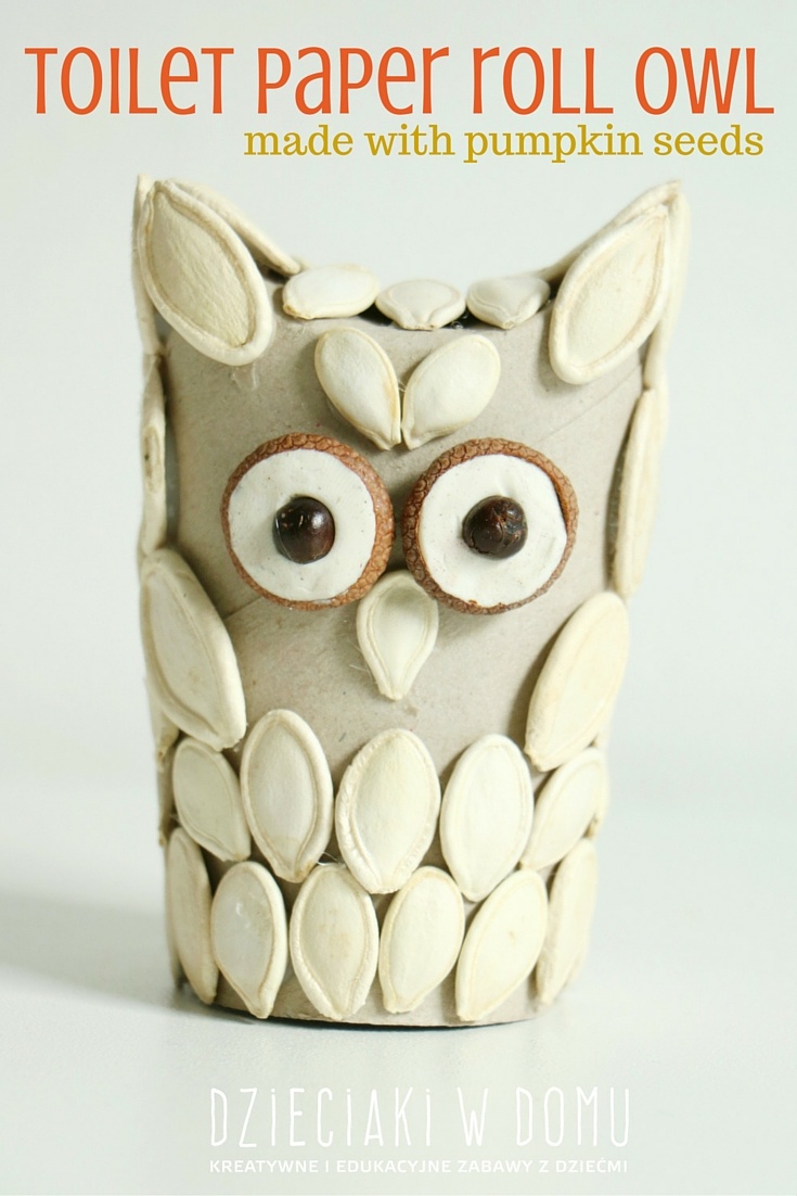 toilet paper roll owl craft for kids