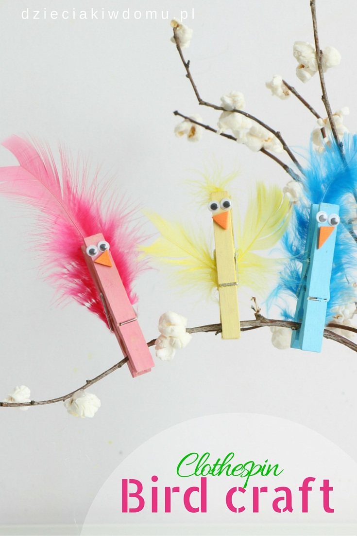 clothespin bird craft idea for kids