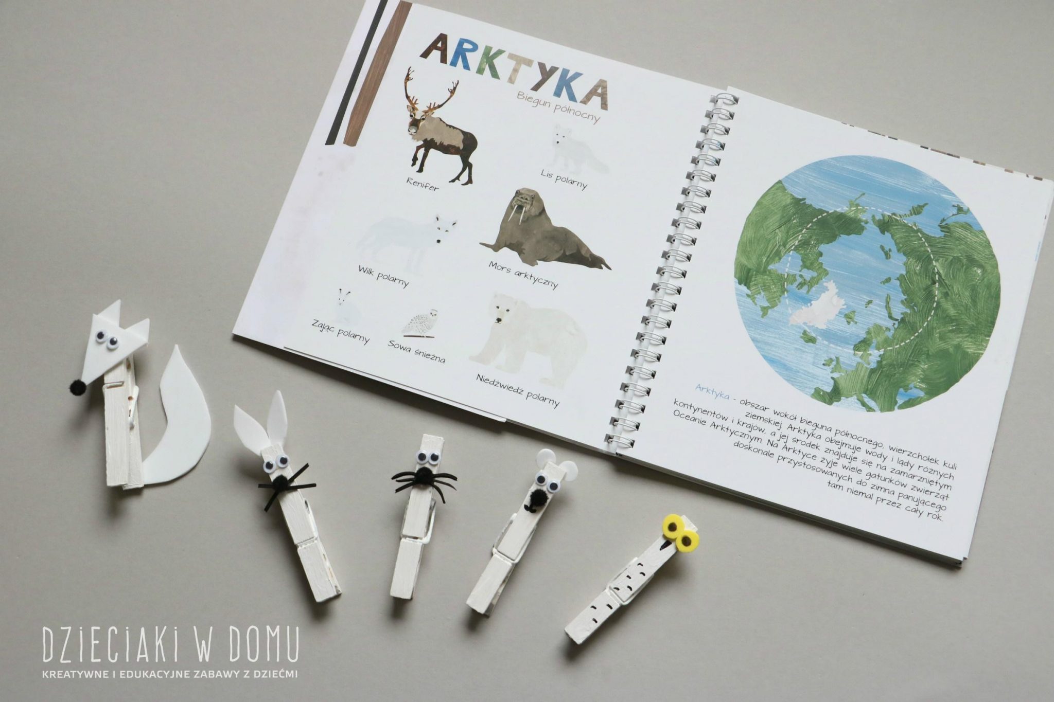 arktyka i antarktyka 1 - książki dla dzieci