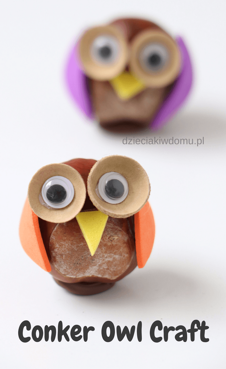 conker owl craft