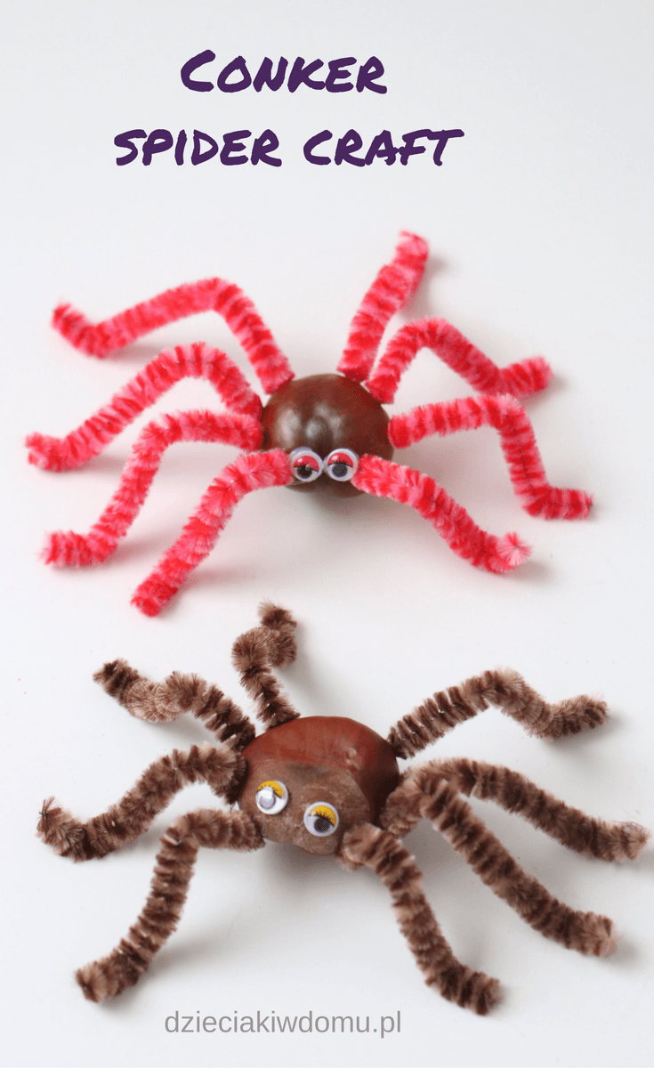 conker spider craft