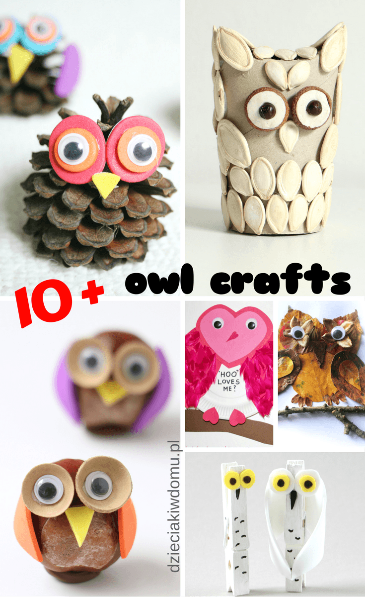 owl craft ideas for kids