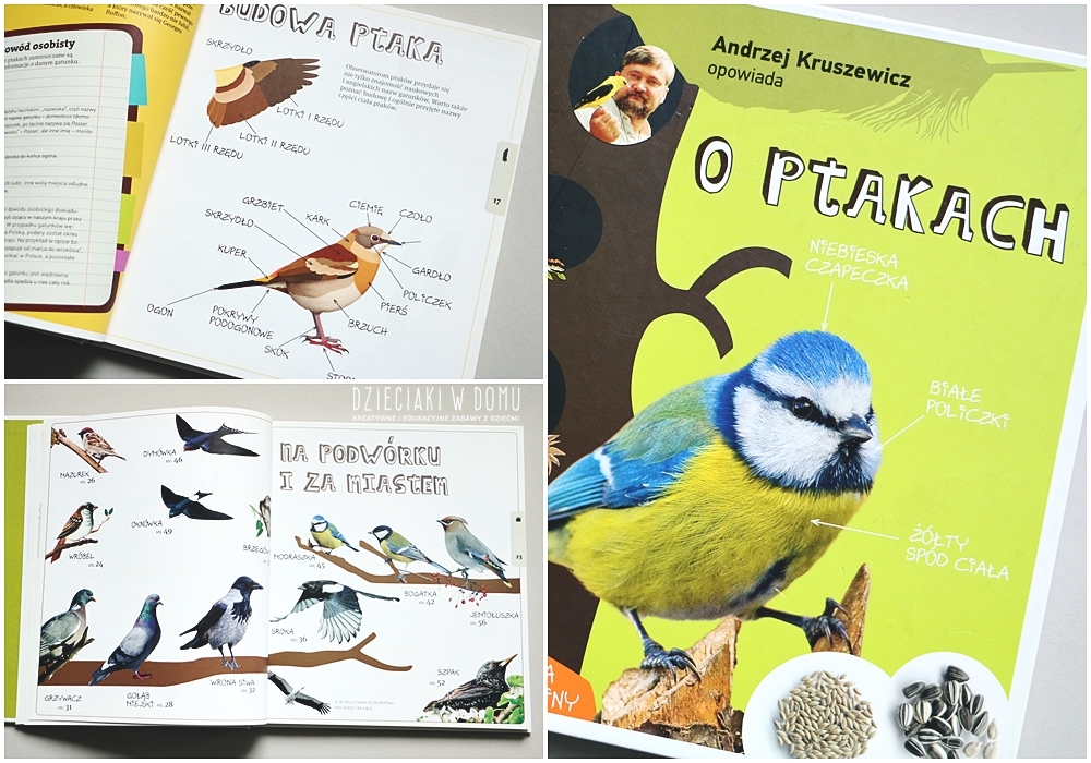 o ptakach - książka dla dzieci